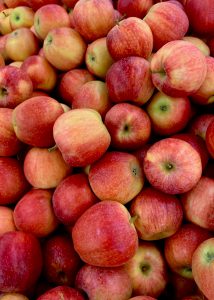 appelcider appelwijn appels