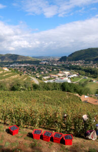 Crozes Hermitage 